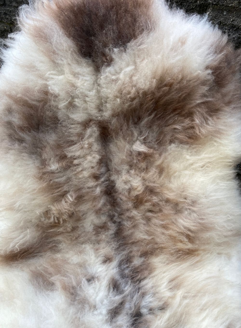 Cream and brown speckled sheepskin rug close up