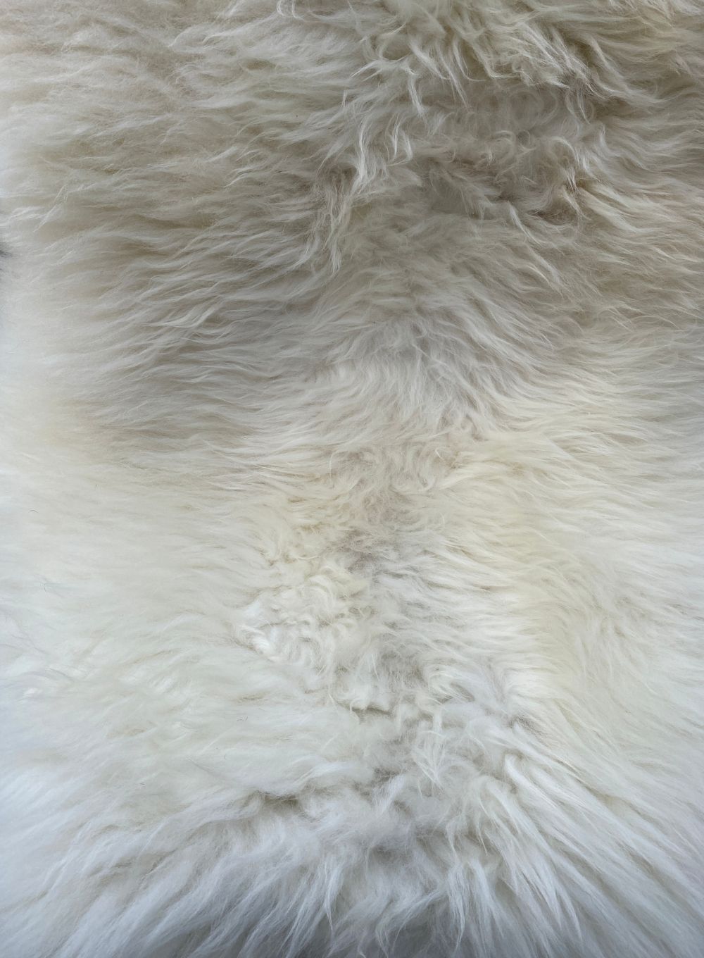 Cream sheepskin rug close up