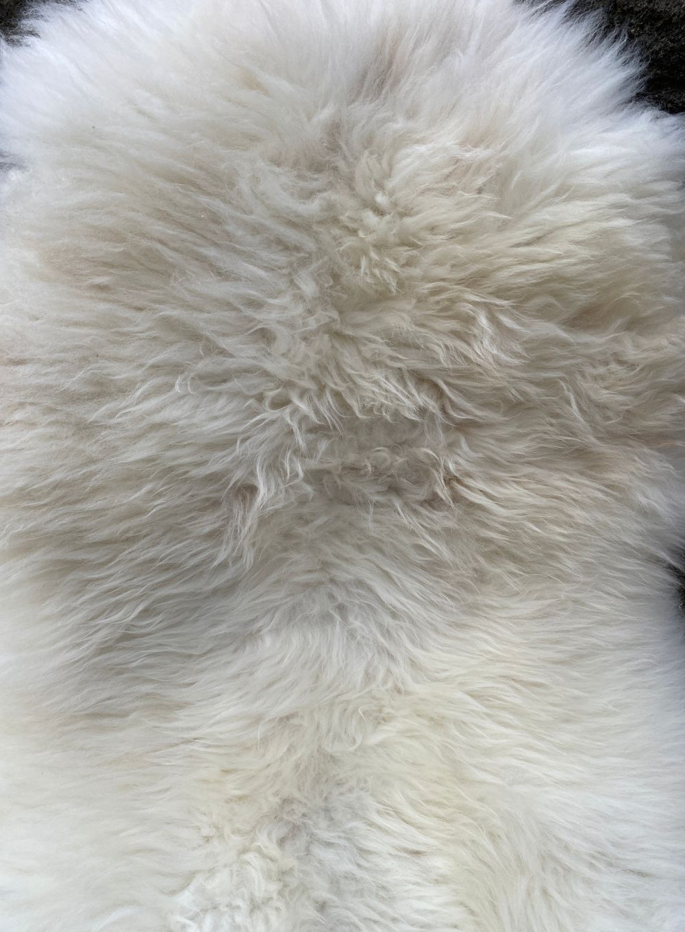 Cream sheepskin rug close up