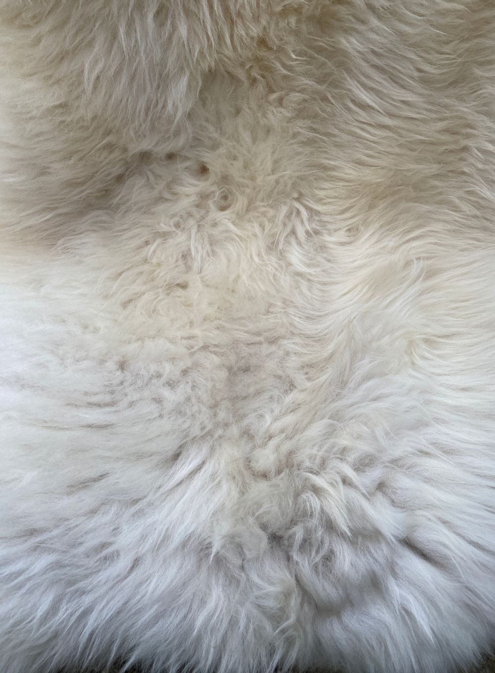 Cream sheepskin rug close up