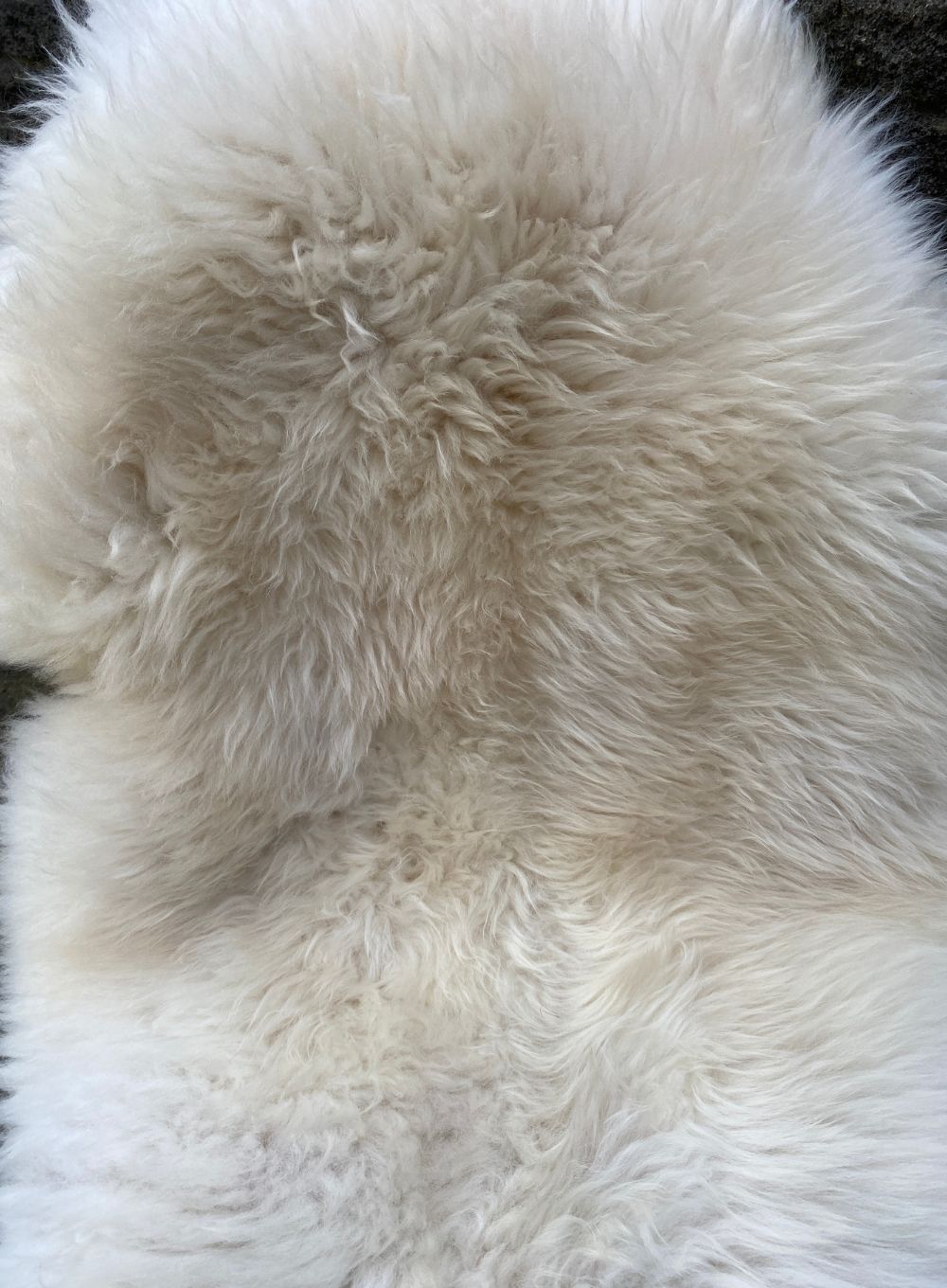 Cream sheepskin rug close up