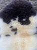 Cream and brown sheepskin rug close up