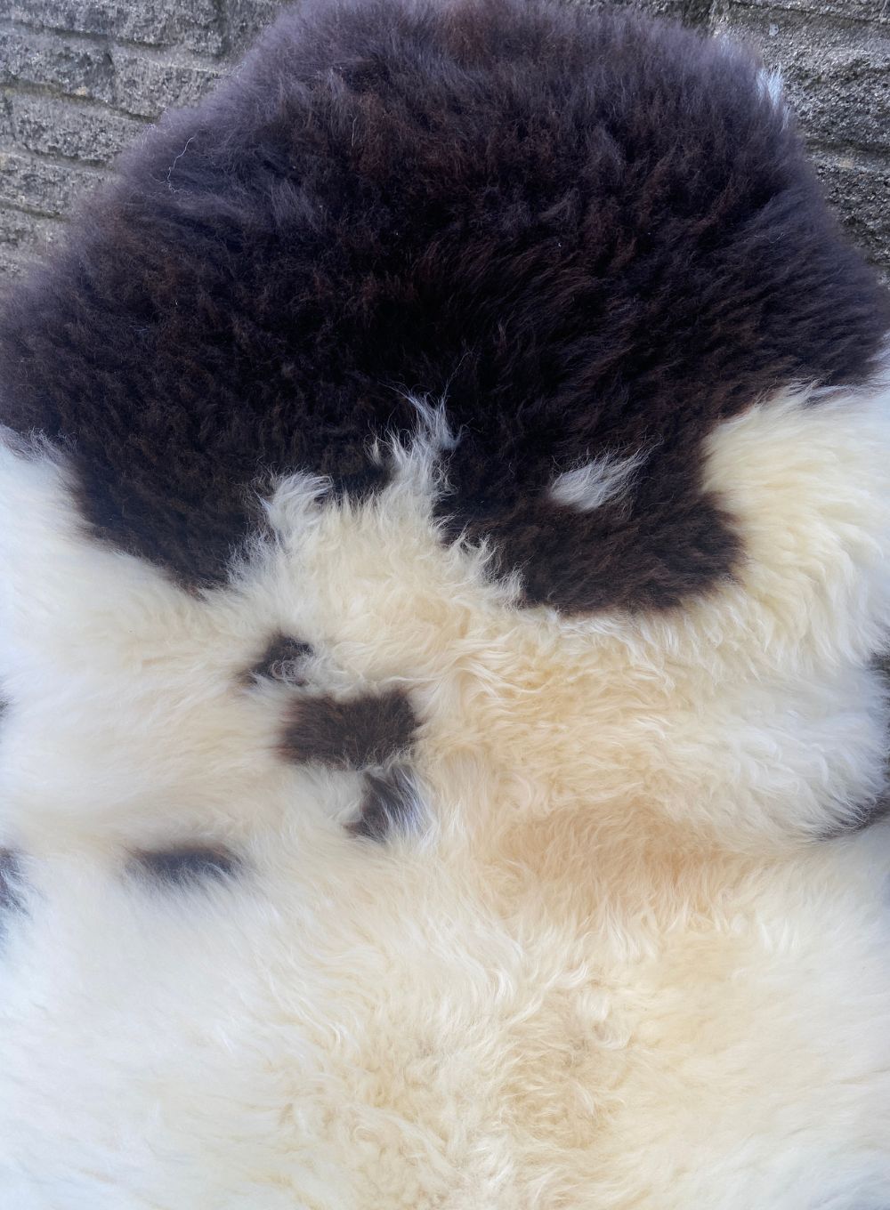 Cream and brown sheepskin rug close up