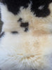 Cream and brown sheepskin rug close up