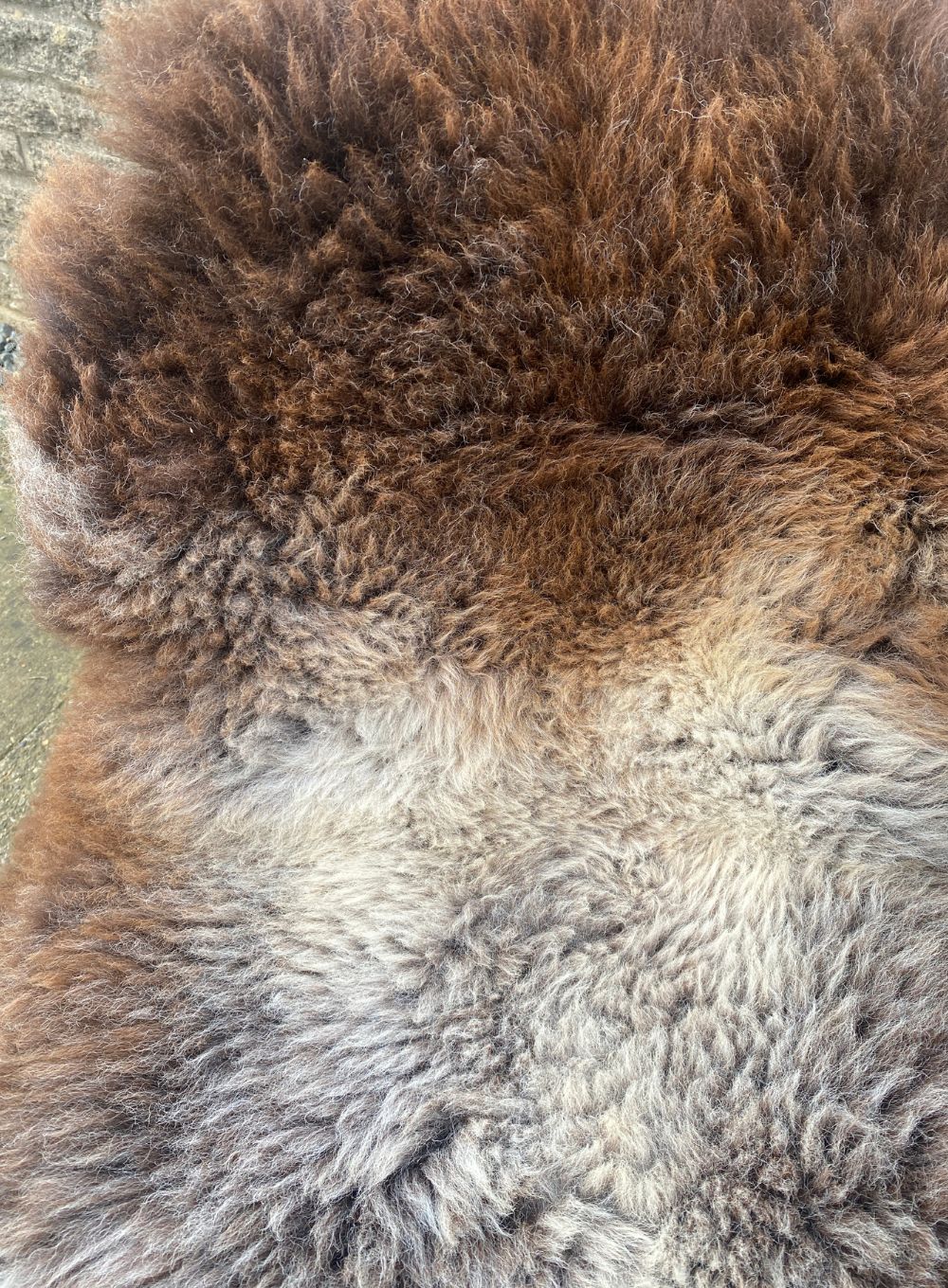 Brown and grey sheepskin rug close up