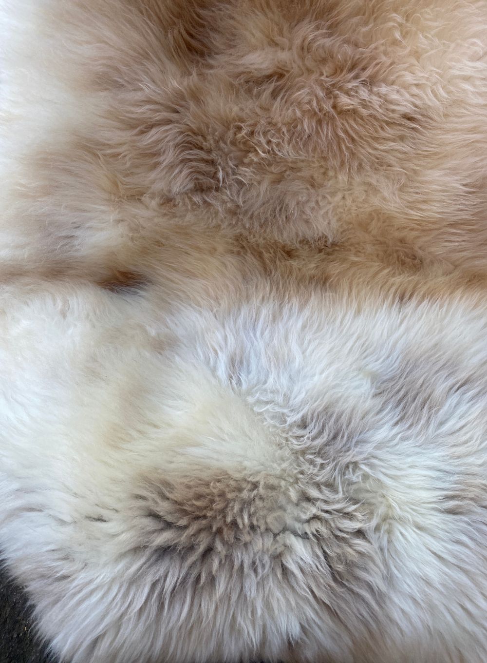 Cream speckled sheepskin rug close up