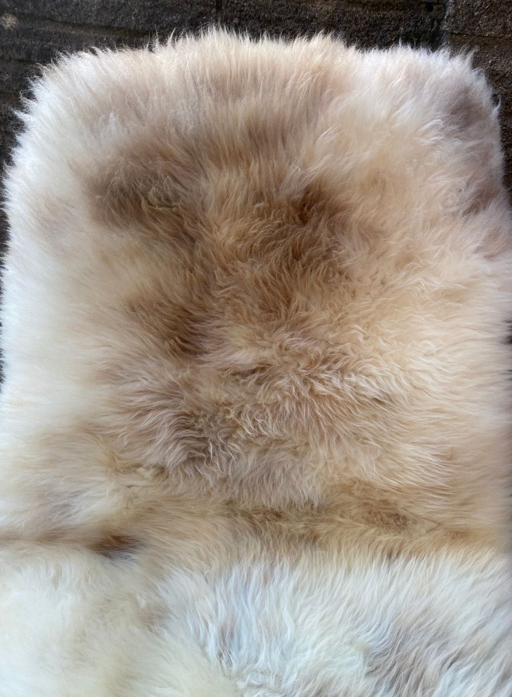 Cream speckled sheepskin rug close up