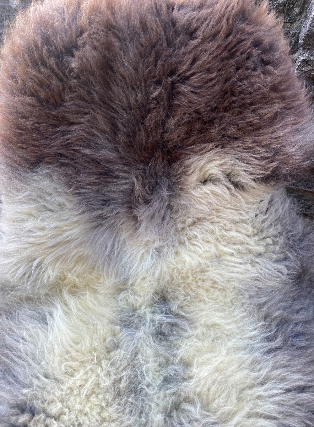Brown and grey sheepskin rug close up