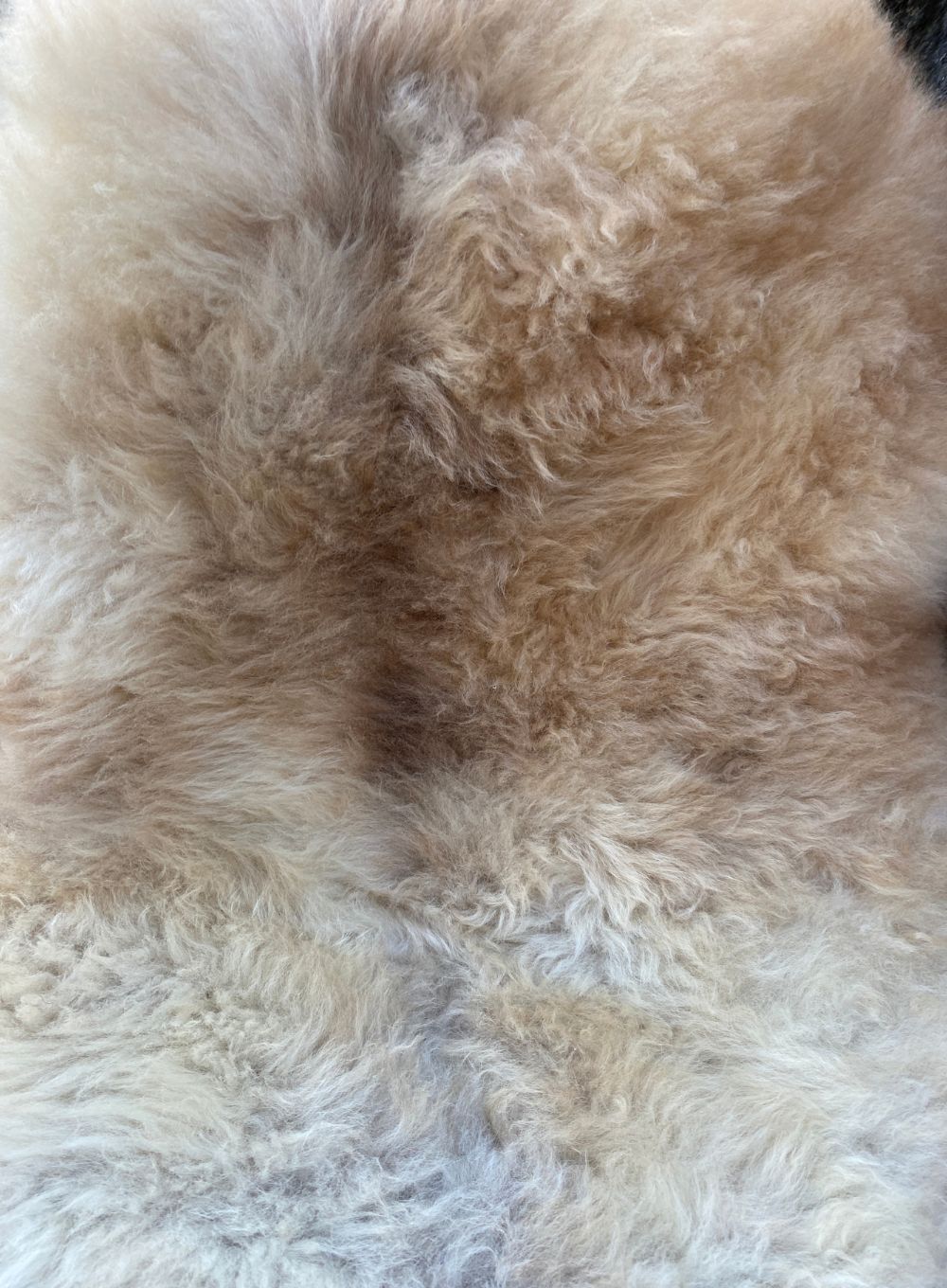 Cream speckled sheepskin rug close up
