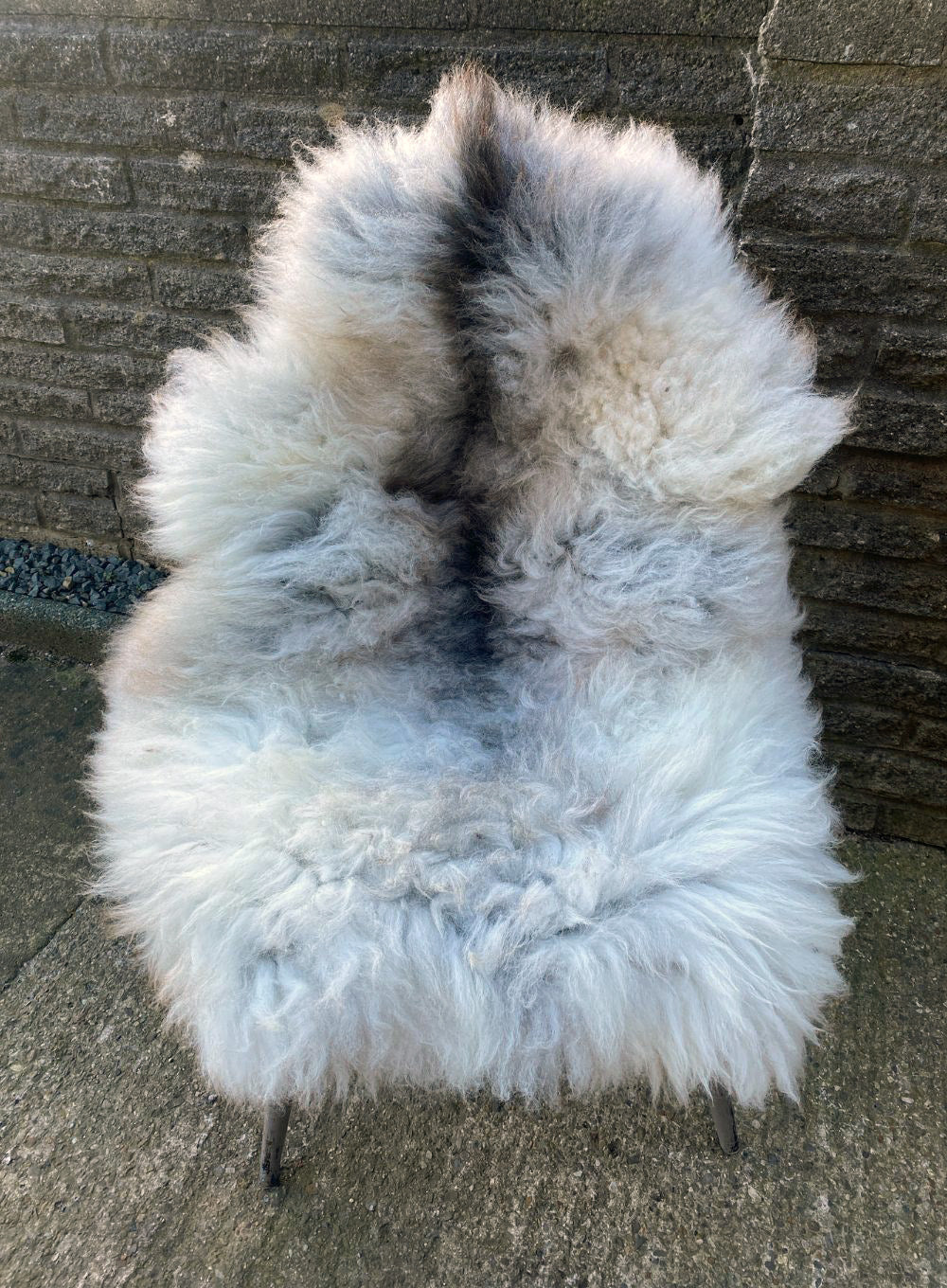 Neasden Wolfie Grey Sheepskin Rug
