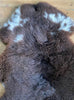 Brown sheepskin rug with cream spots close up