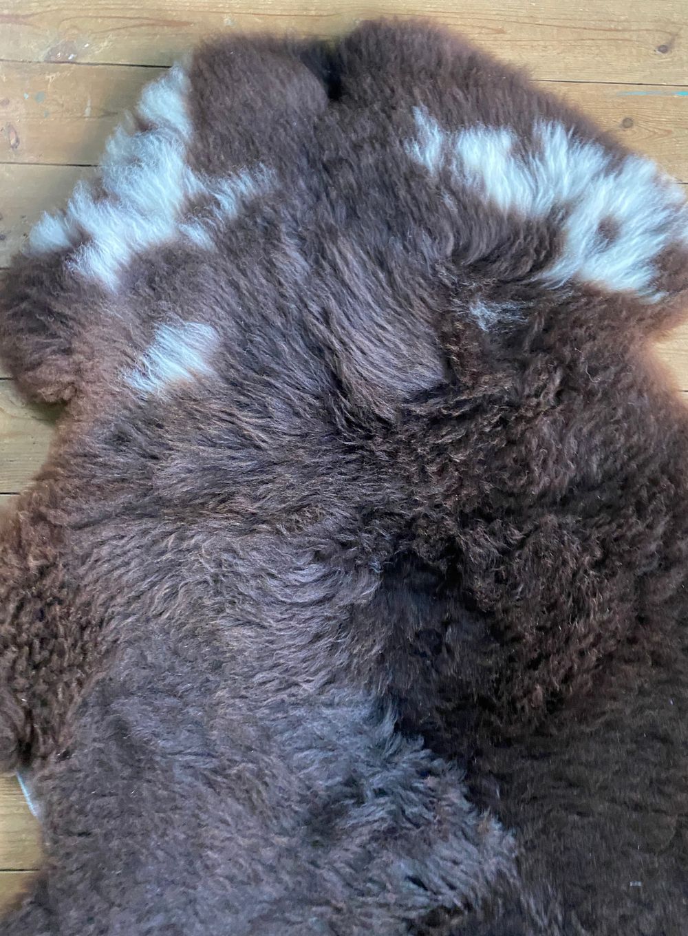 Brown sheepskin rug with cream spots close up