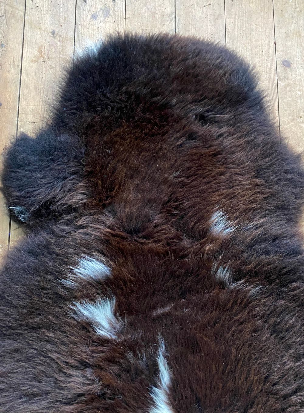 Brown sheepskin with cream spots close up