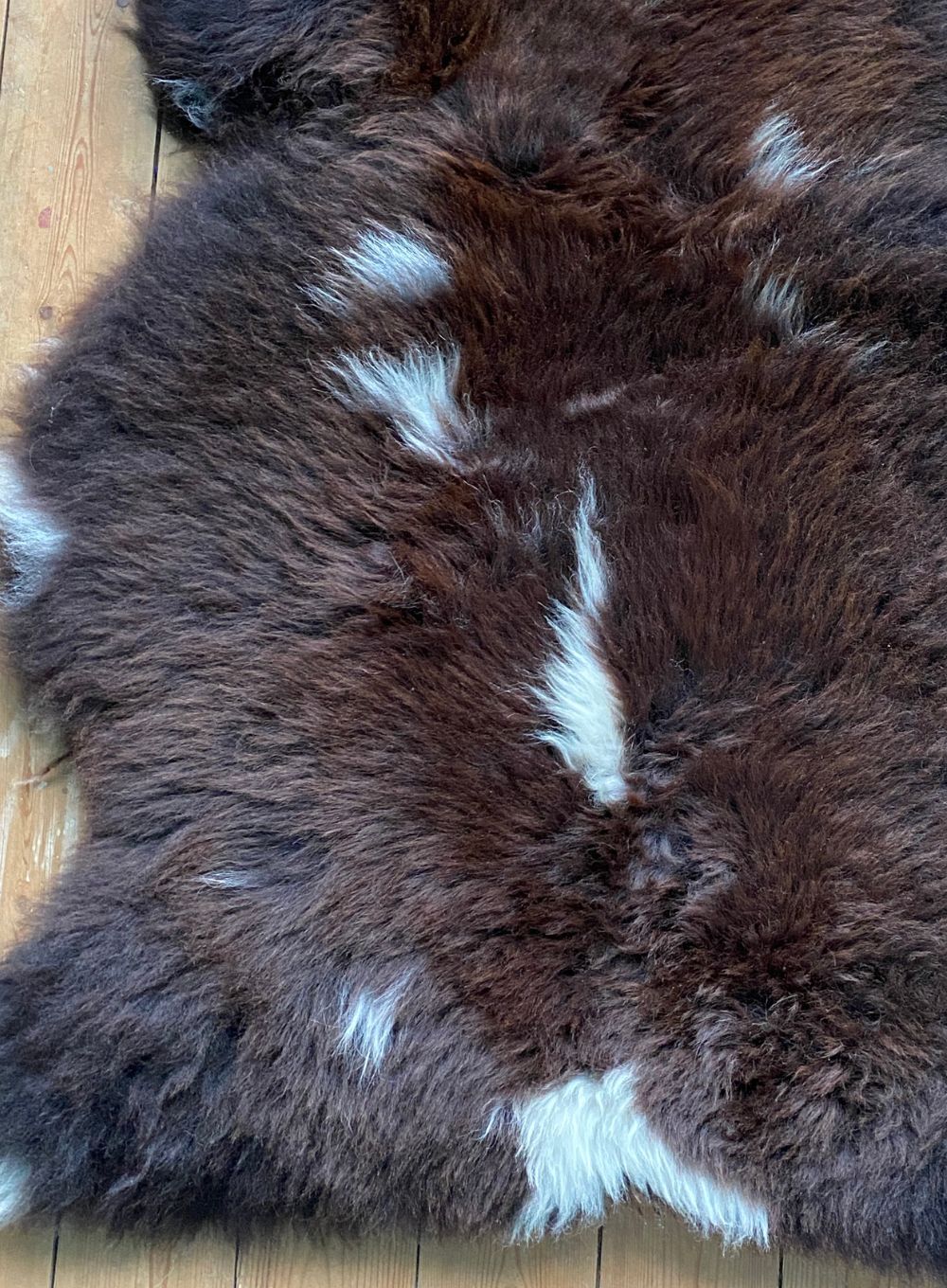 Brown sheepskin with cream spots close up
