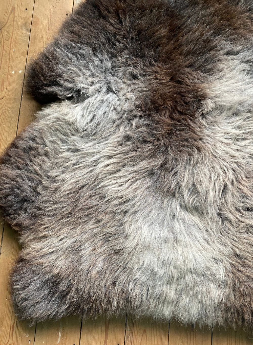 Brown and grey sheepskin rug close up