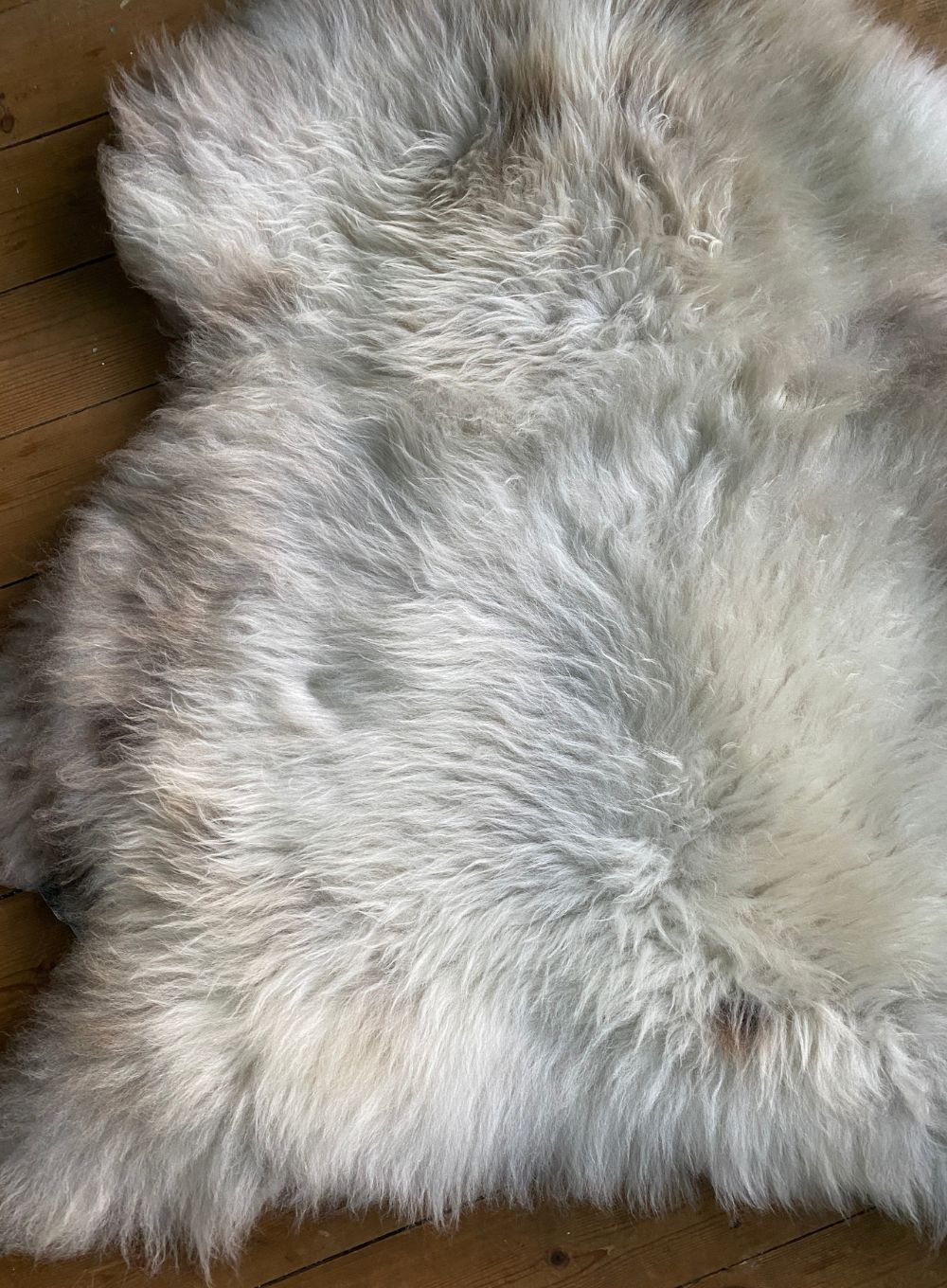 Cream speckled sheepskin rug close up