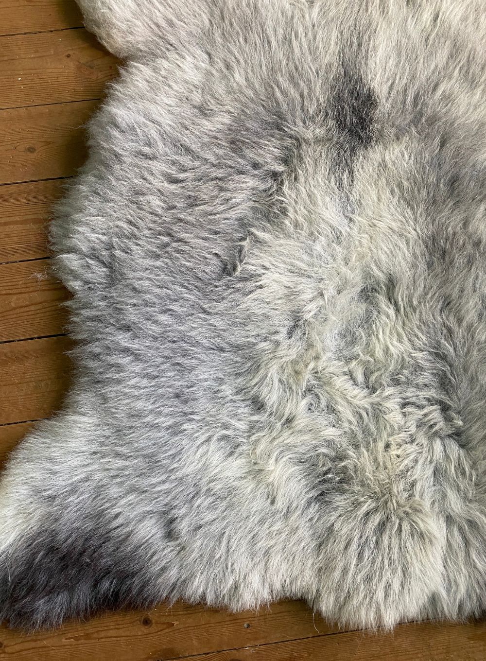 Grey sheepskin rug close up