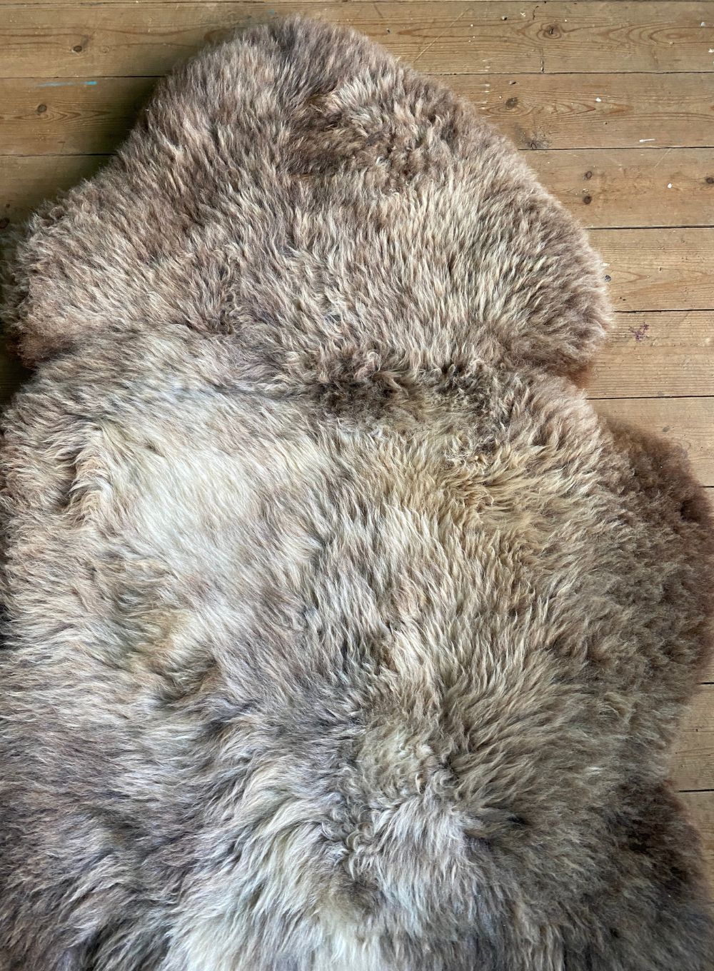 Brown and cream sheepskin rug close up 