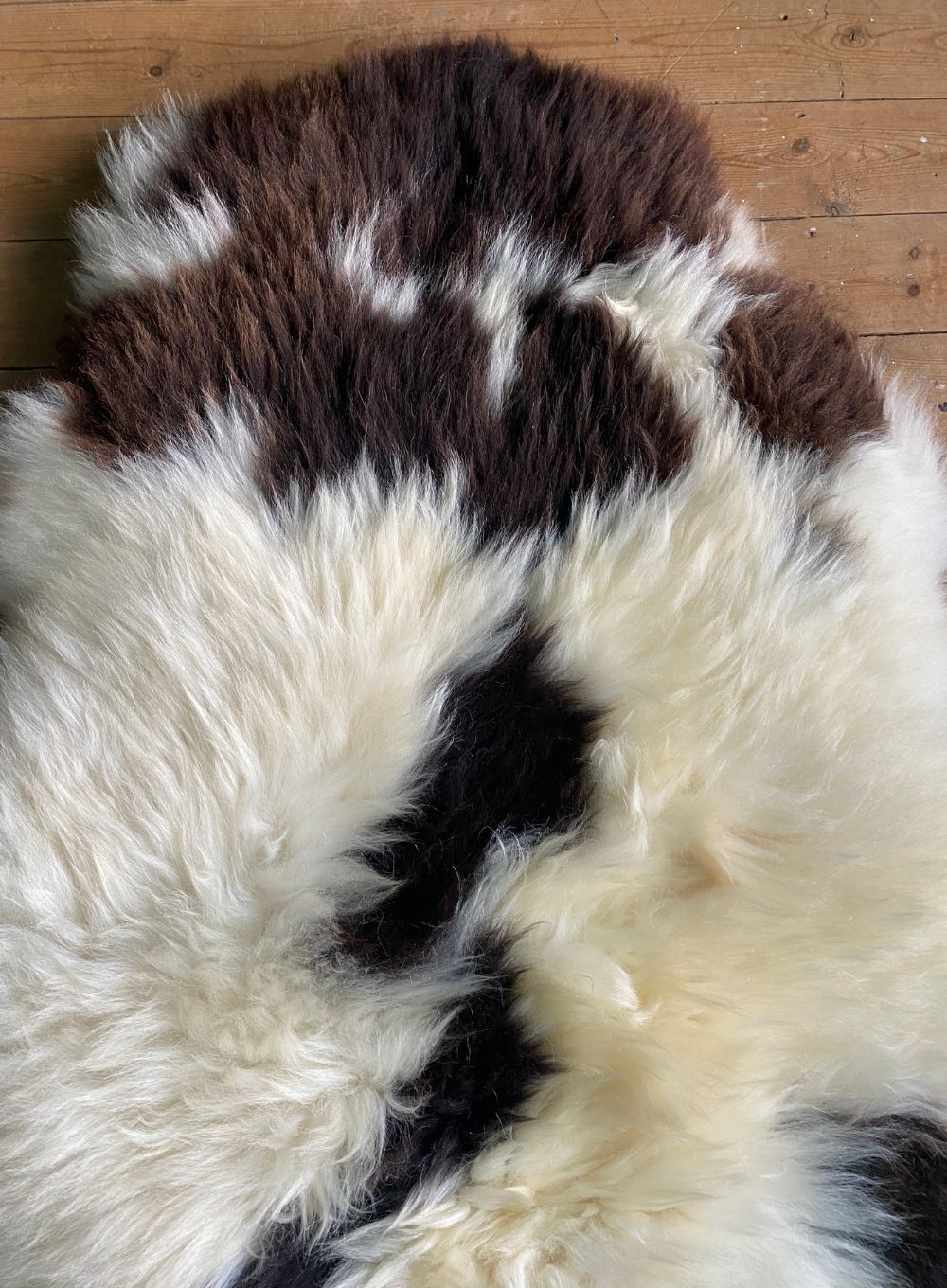 Brown and cream sheepskin rug close up