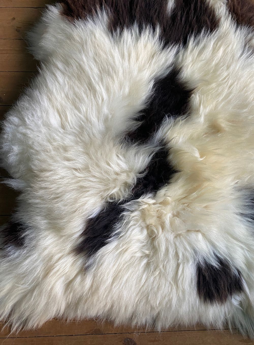Brown and crem sheepskin rug close up 