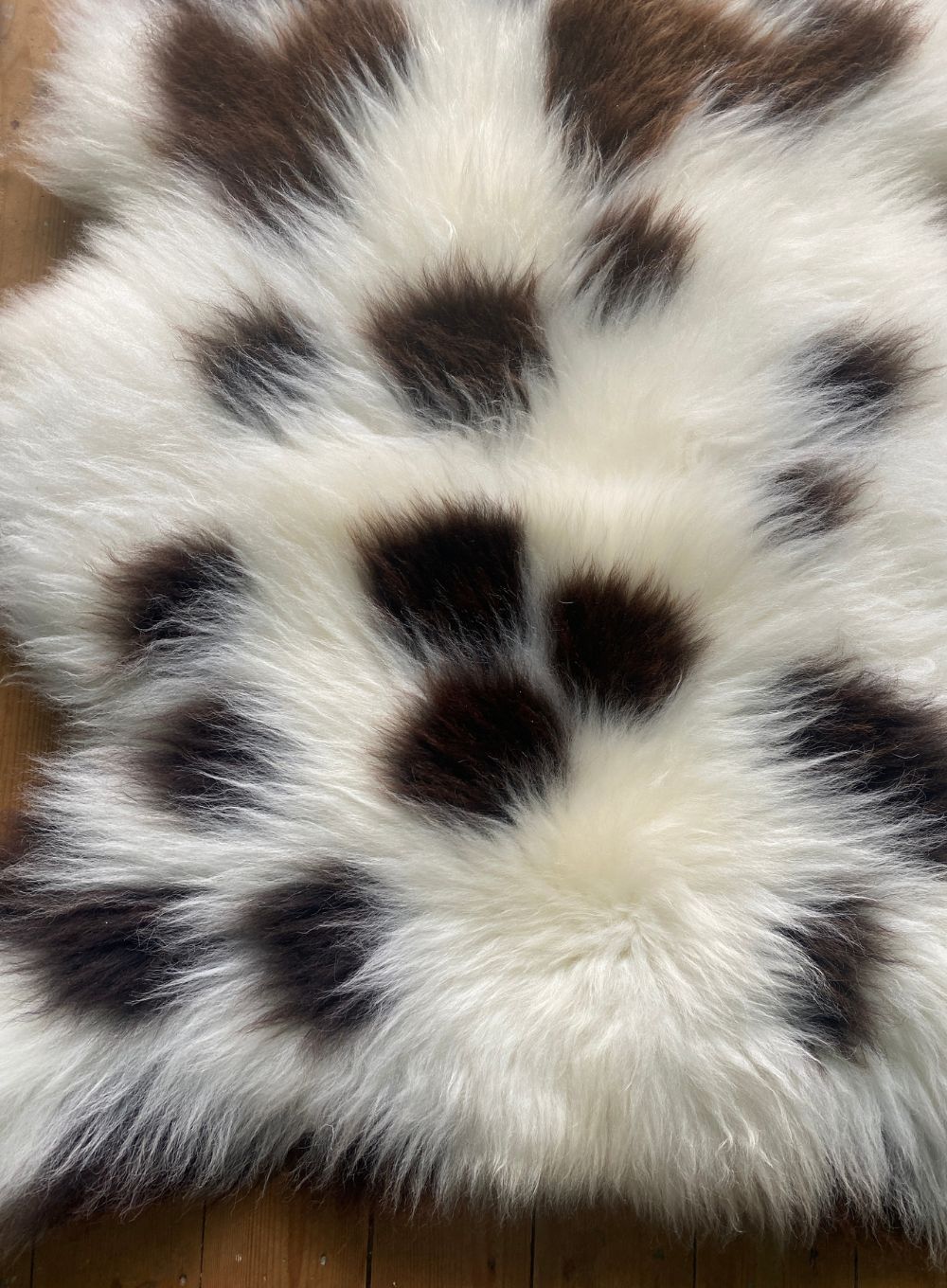 Cream and brown sheepskin rug close up