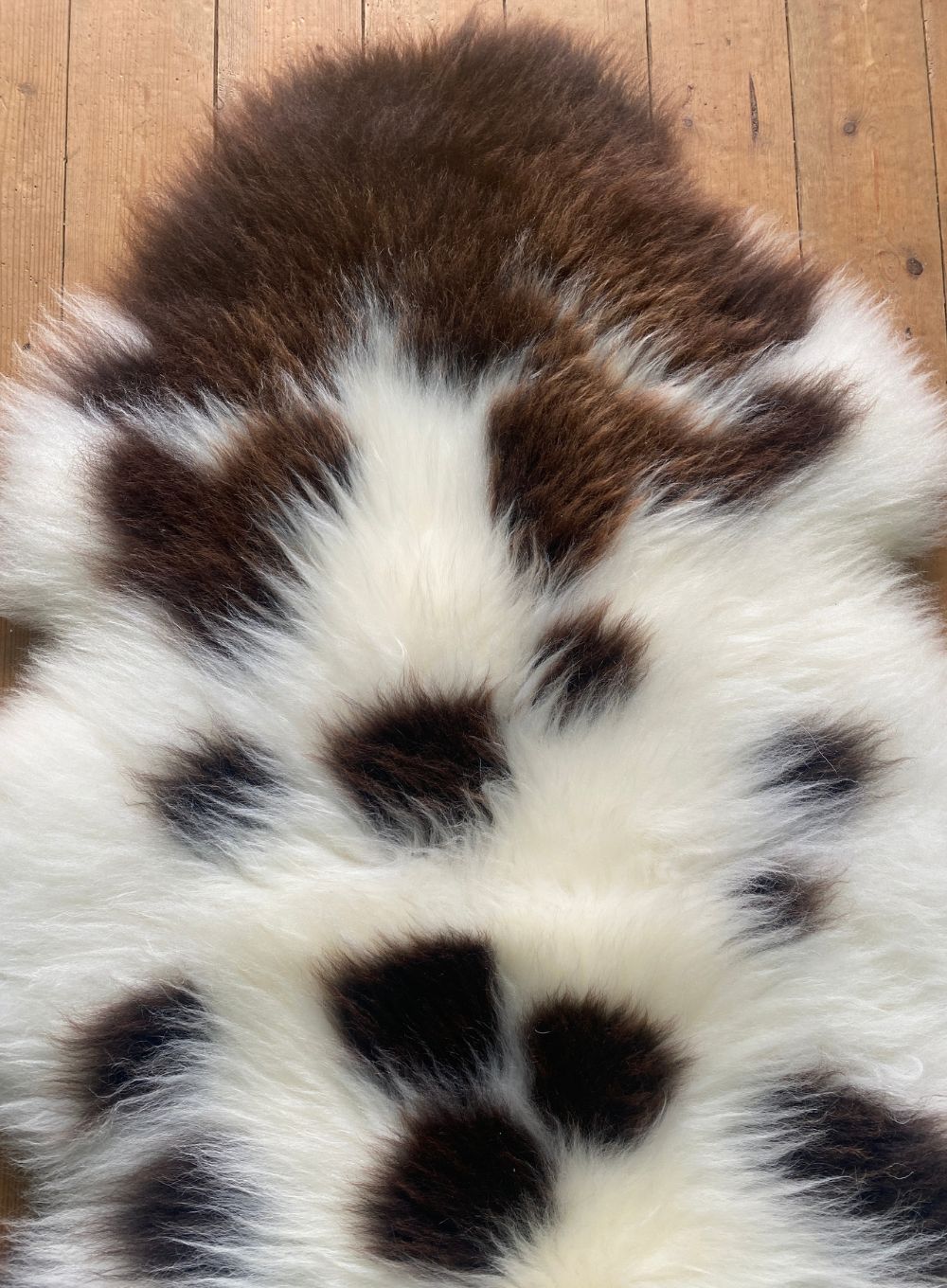 Cream and brown sheepskin rug close up
