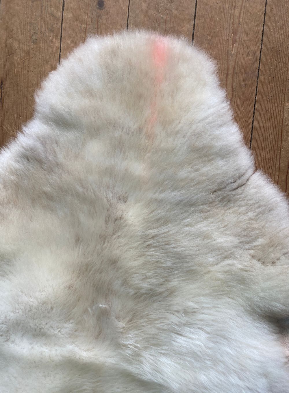 Cream sheepskin rug close up 