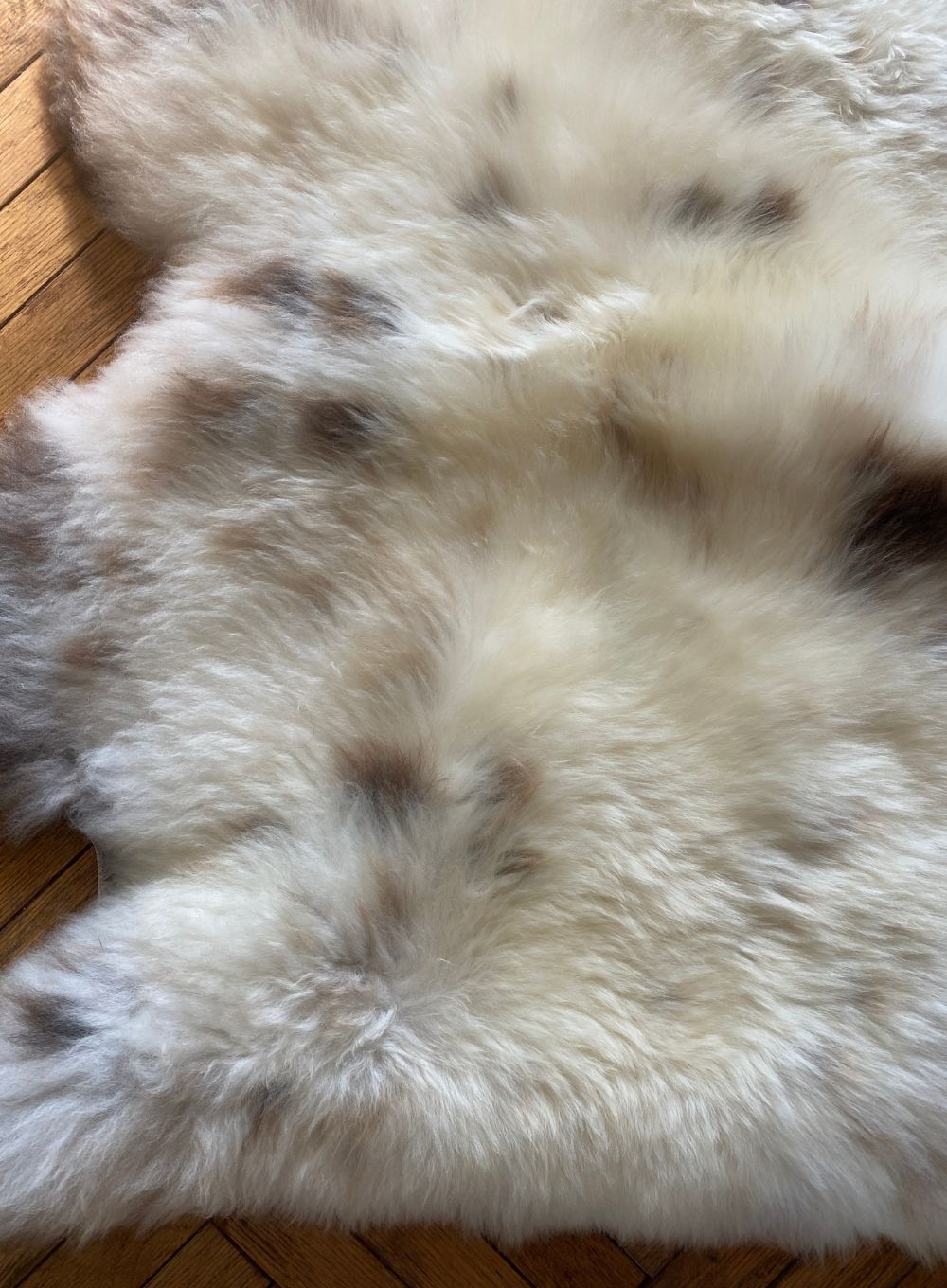 Cream speckled sheepskin rug close up