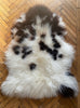 Cream and brown spotty sheepskin rug laid flat on wooden floor