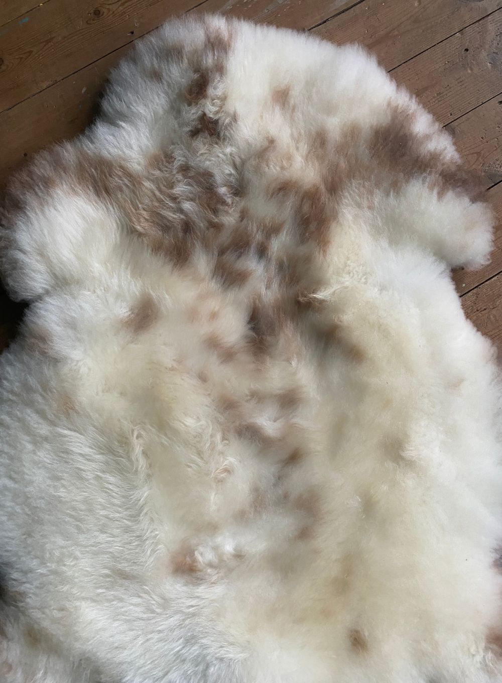 Cream speckled sheepskin rug close up