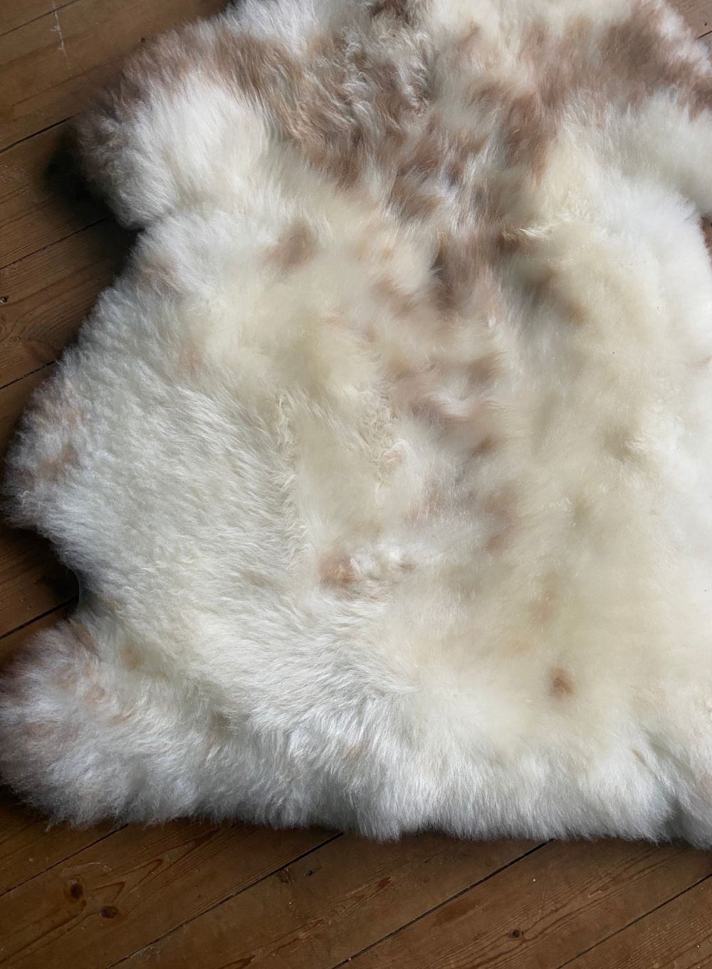 Cream speckled sheepskin rug close up