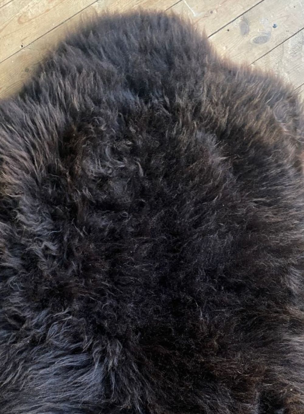 Brown sheepskin rug close up