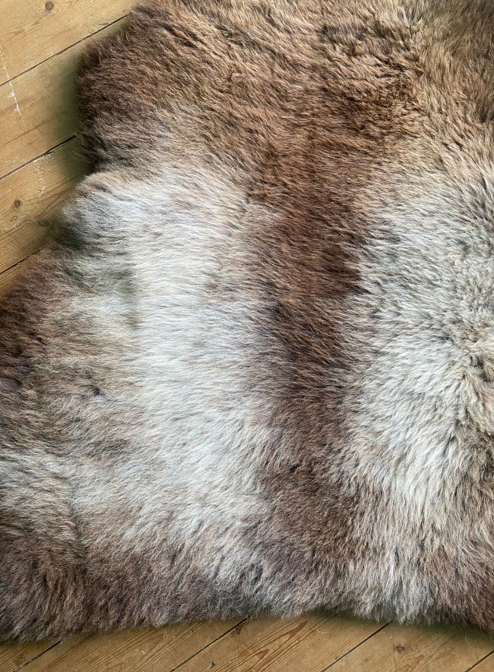 Brown and cream sheepskin rug close up 