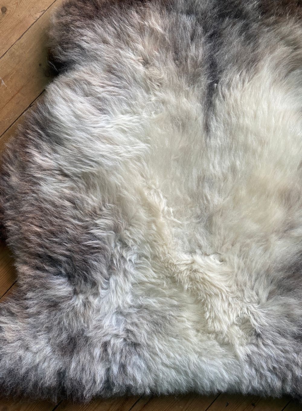 Brown and grey sheepskin rug close up