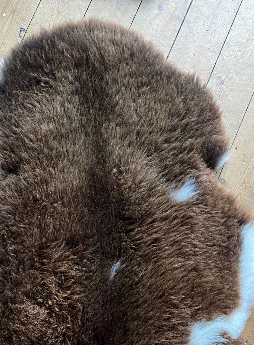 Brown and cream sheepskin rug close up