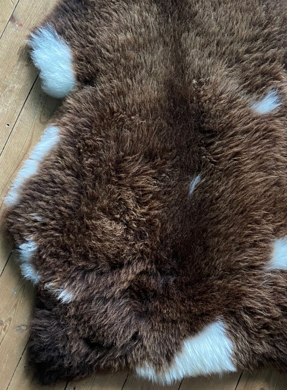 Brown and cream sheepskin rug close up