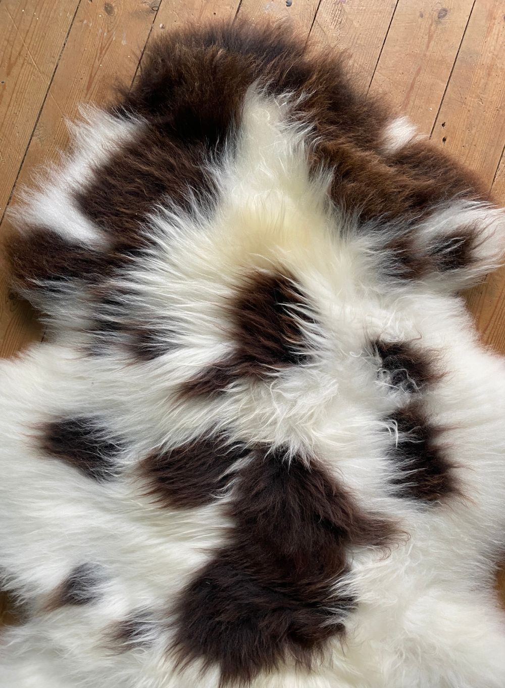 Brown and cream sheepskin rug close up