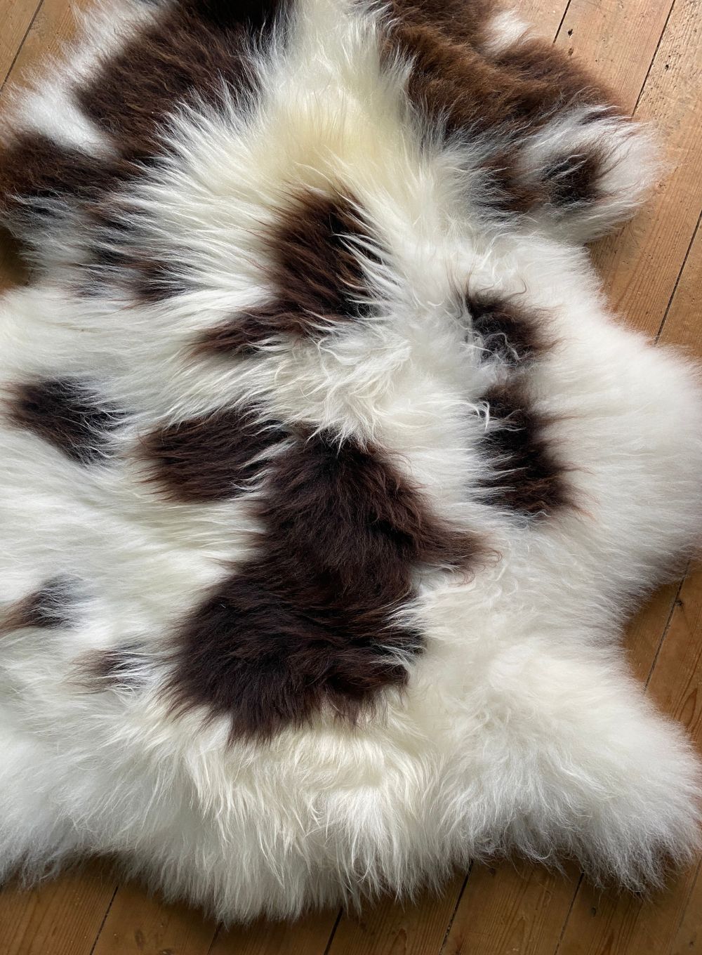 Brown and cream sheepskin rug close up