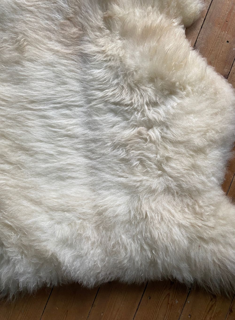 Cream speckled sheepskin rug close up