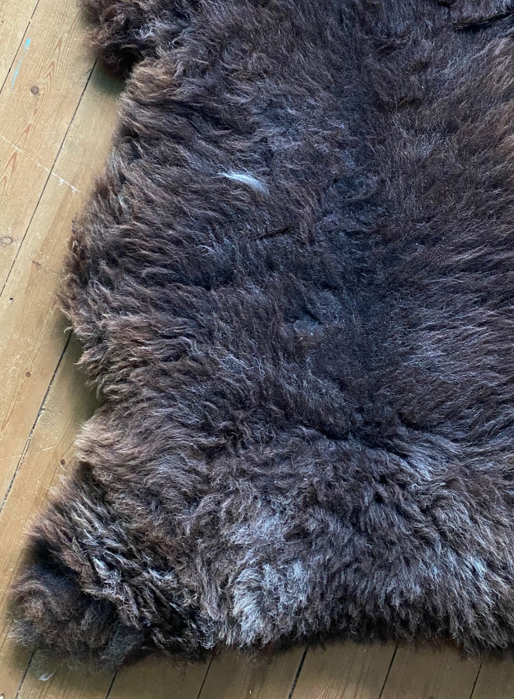 Brown sheepskin rug close up