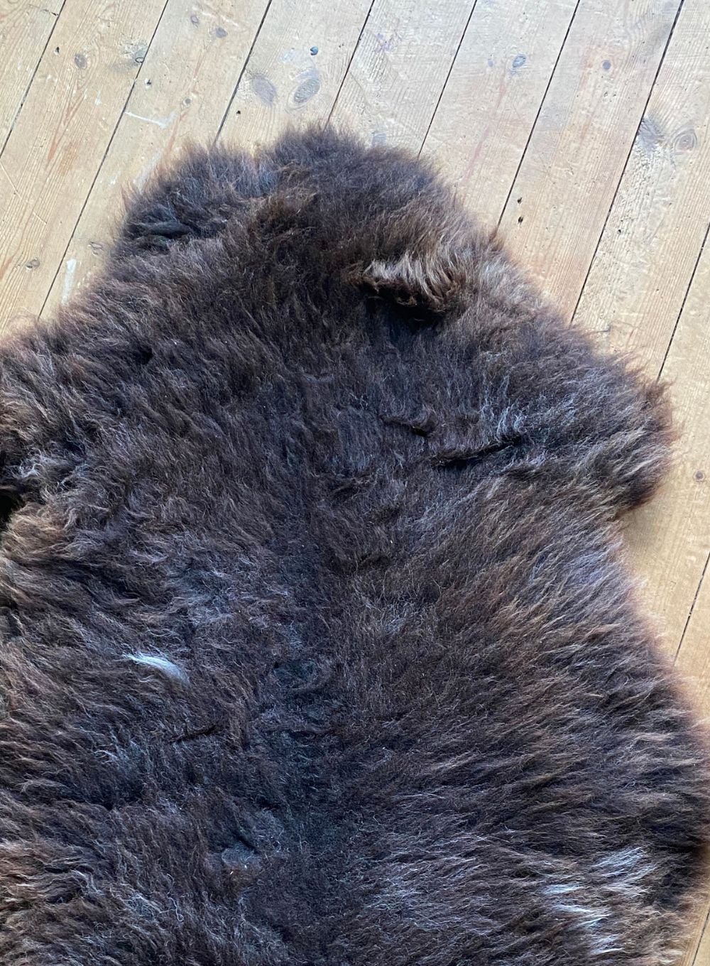 Brown sheepskin rug close up