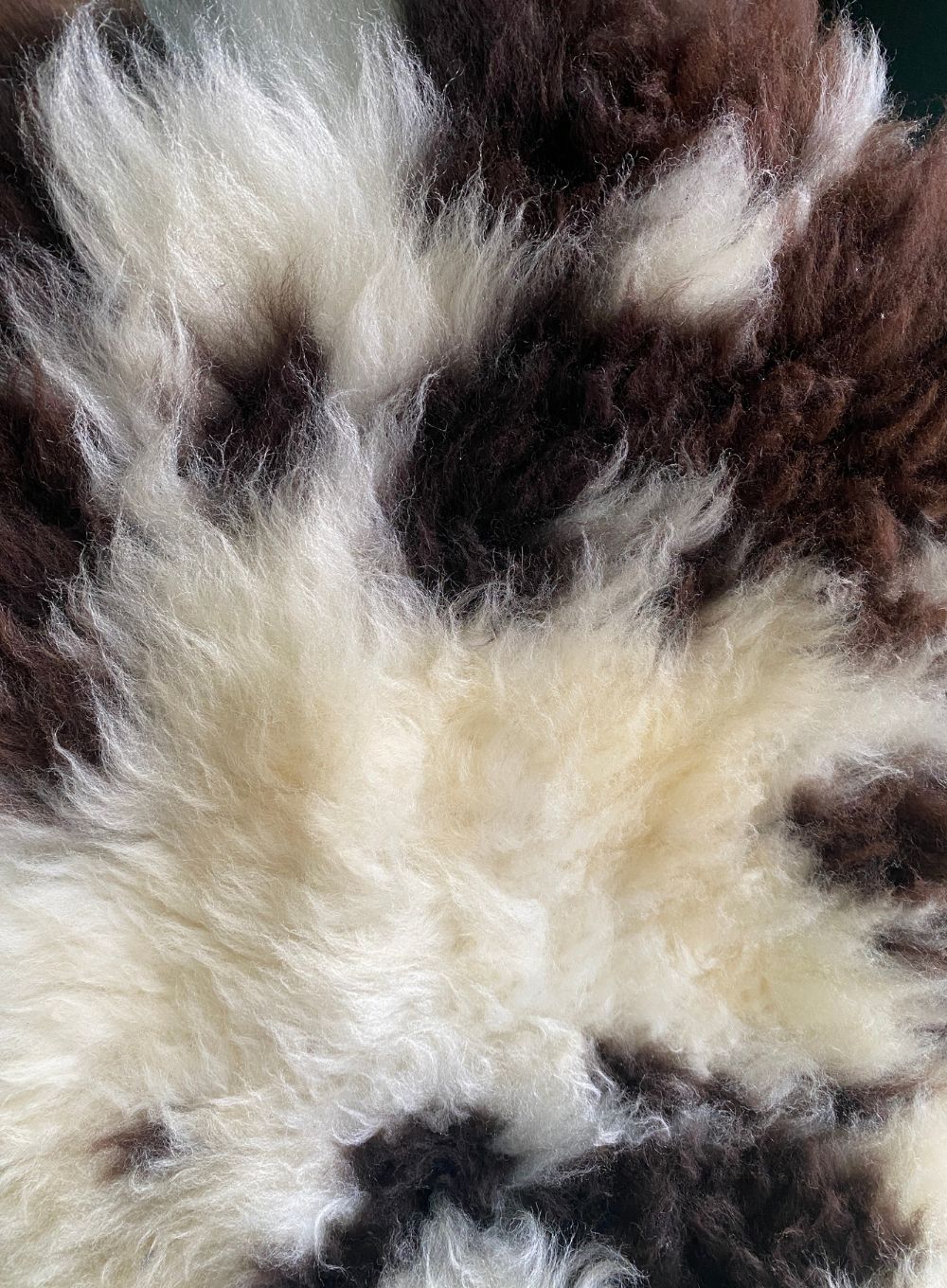 Brown and cream spotty sheepskin close up