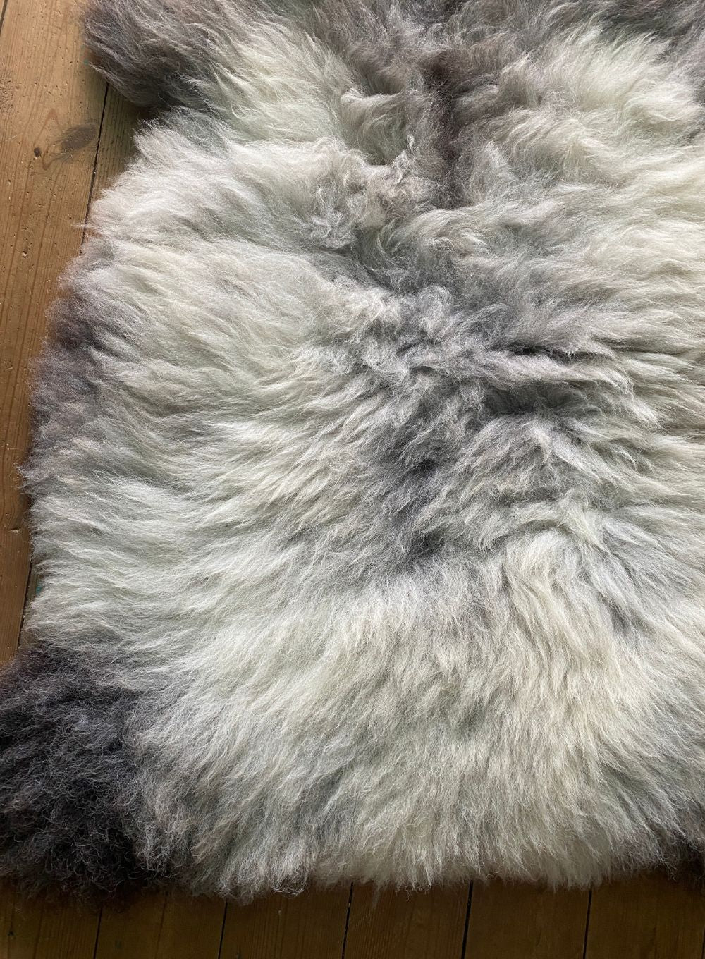 Grey and cream sheepskin rug close up