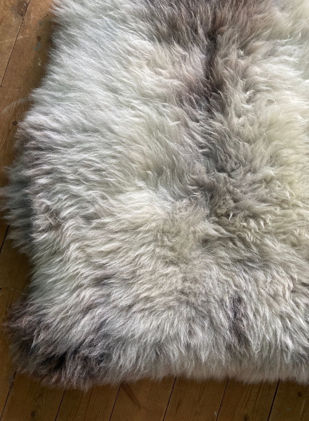 Cream speckled sheepskin rug close up 