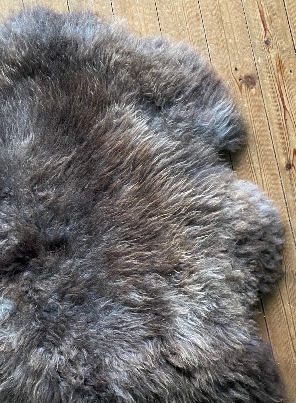 Brown sheepskin rug close up