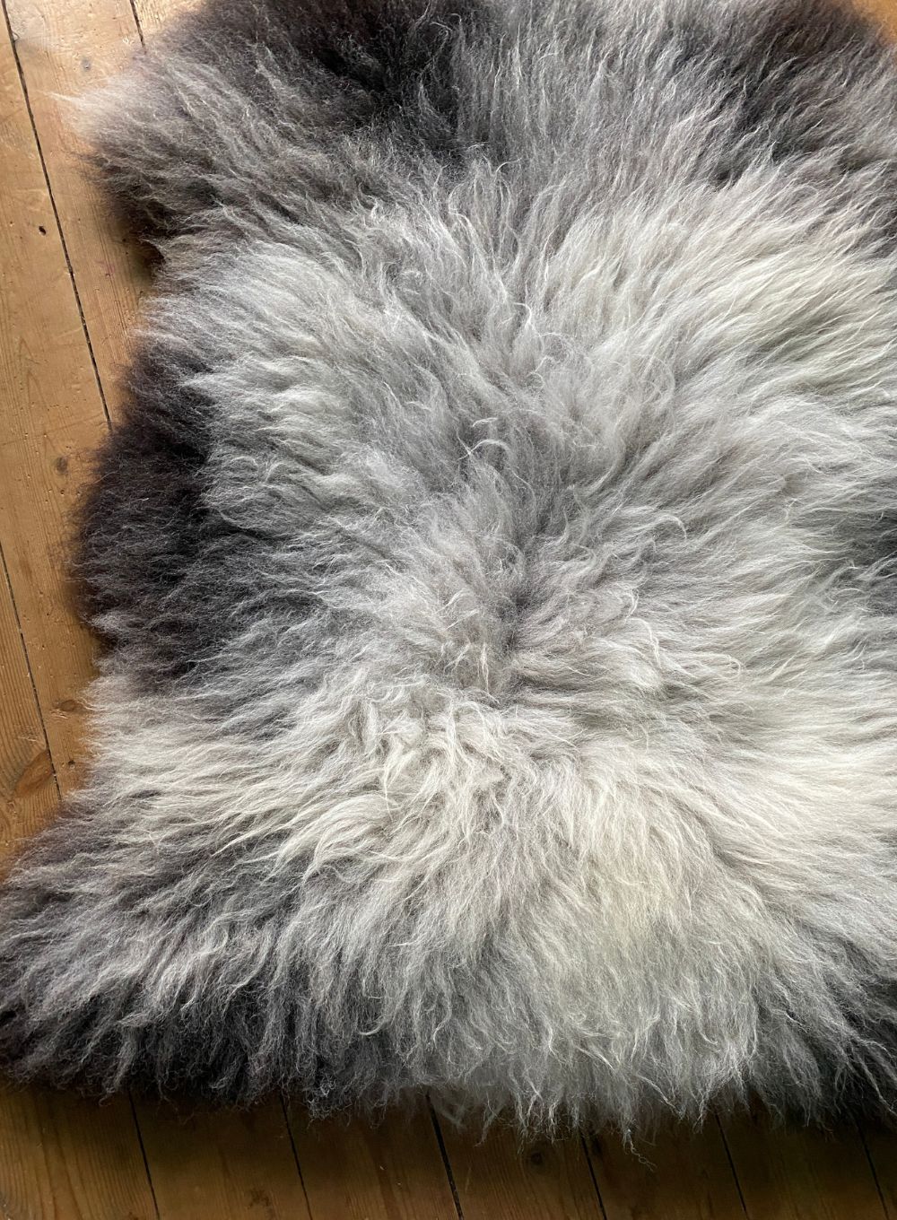 Grey sheepskin rug close up