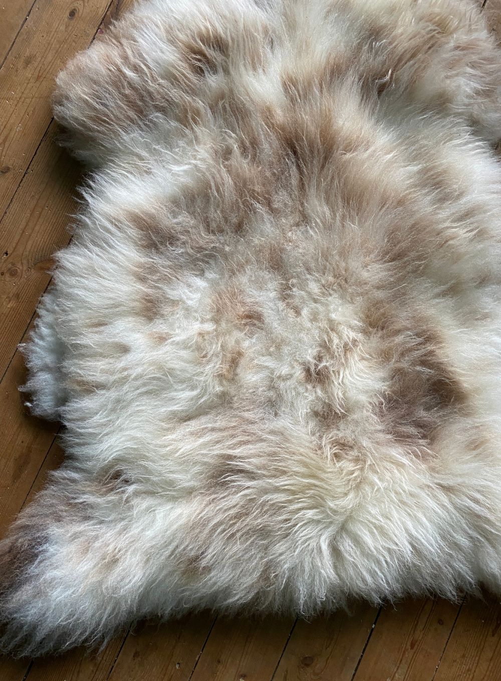 Cream speckled sheepskin rug close up
