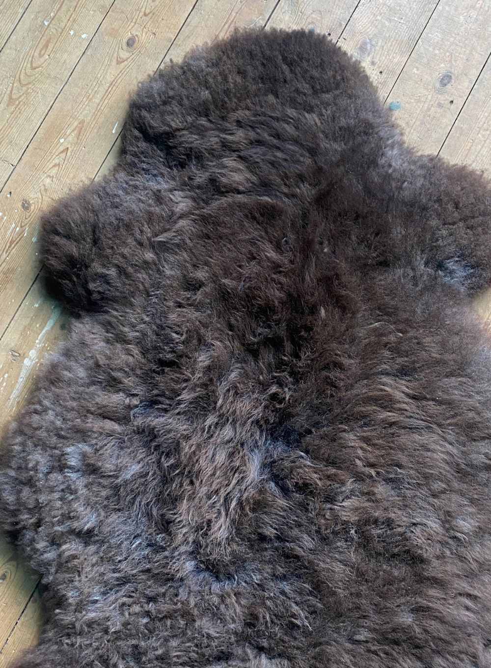Brown sheepskin rug close up