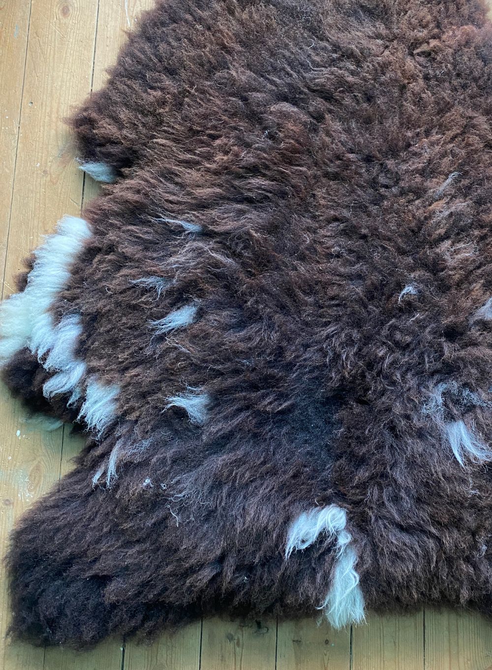 Brown sheepskin rug close up
