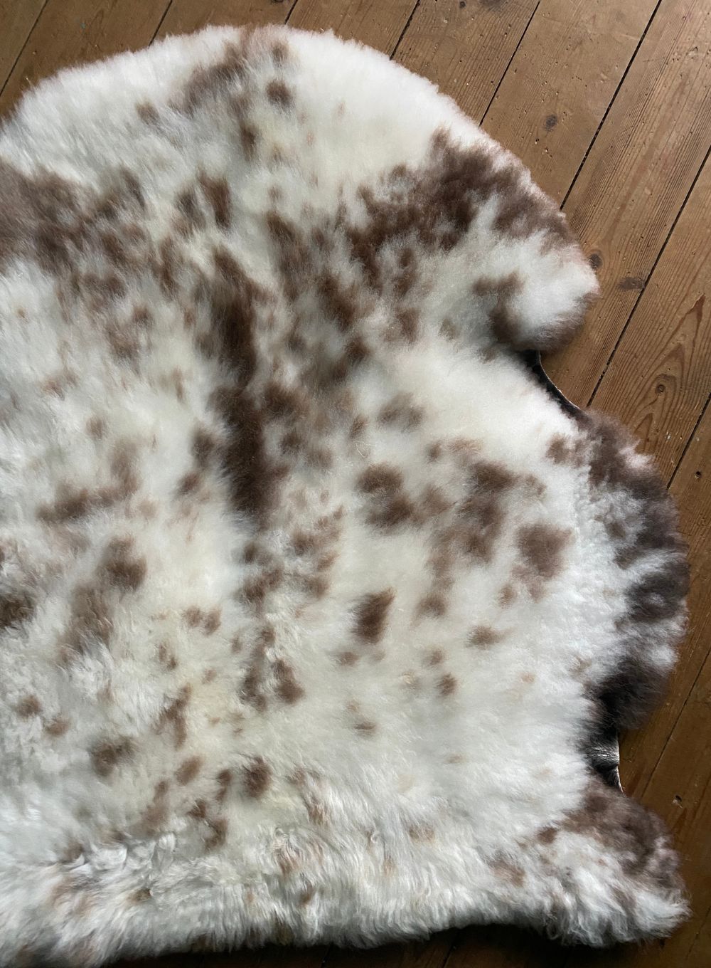 Cream speckled sheepskin rug close up